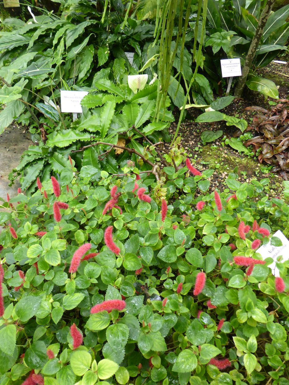 Jena_Botanischer_Garten_2025