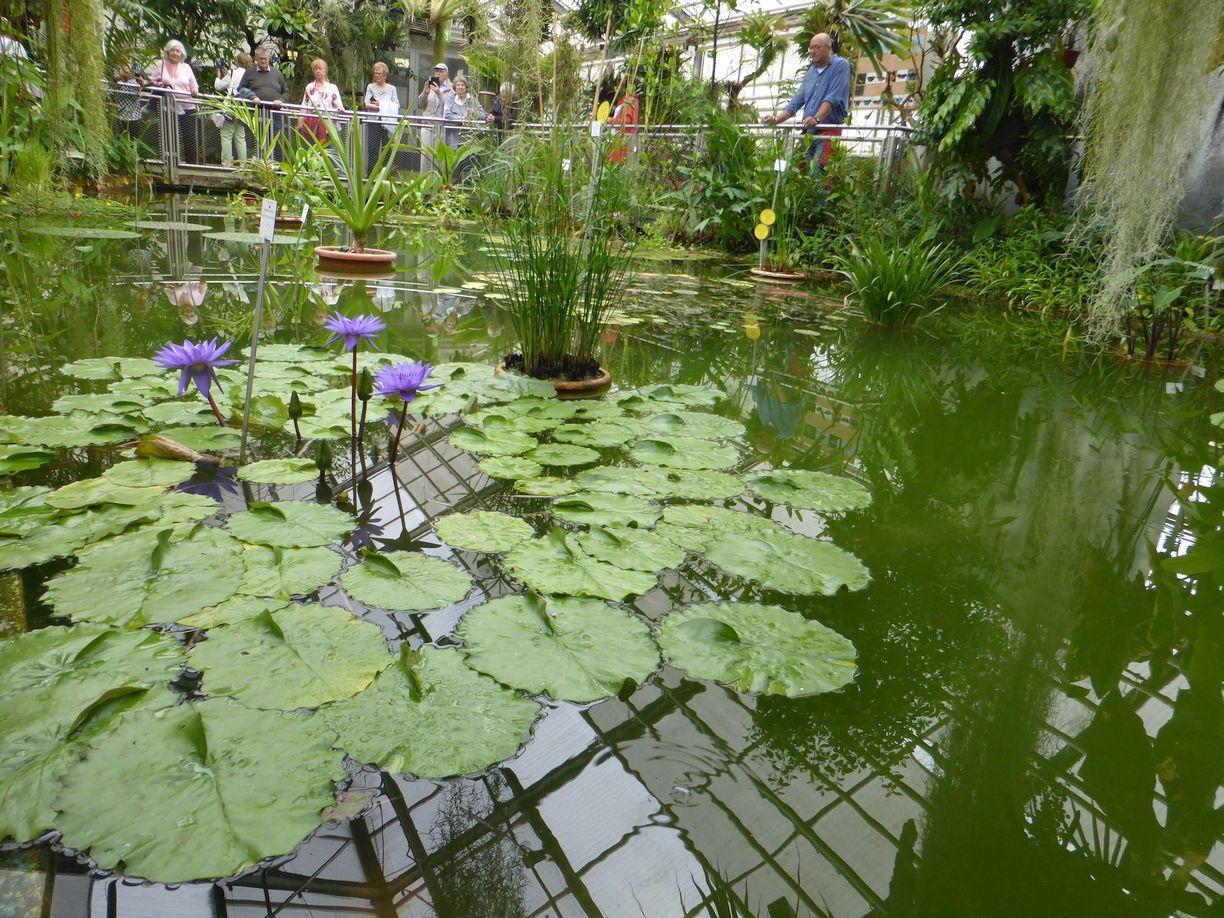 Jena_Botanischer_Garten_2025