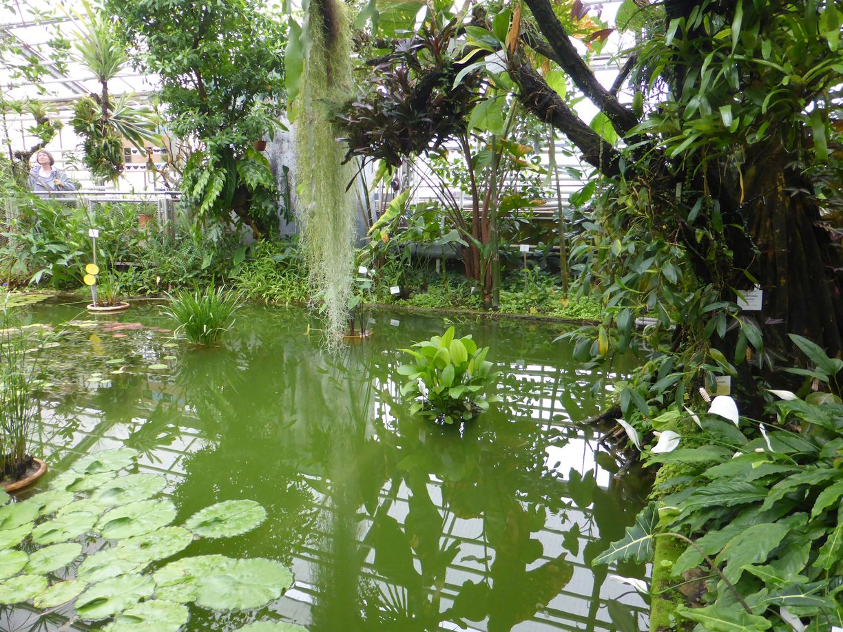 Jena_Botanischer_Garten_2025