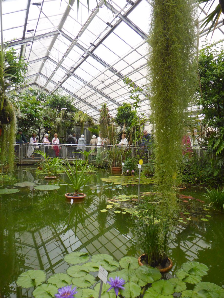 Jena_Botanischer_Garten_2025