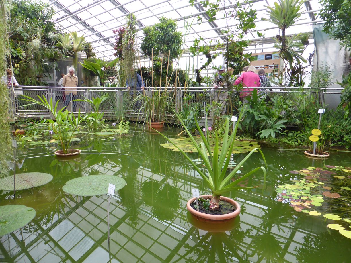 Jena_Botanischer_Garten_2025