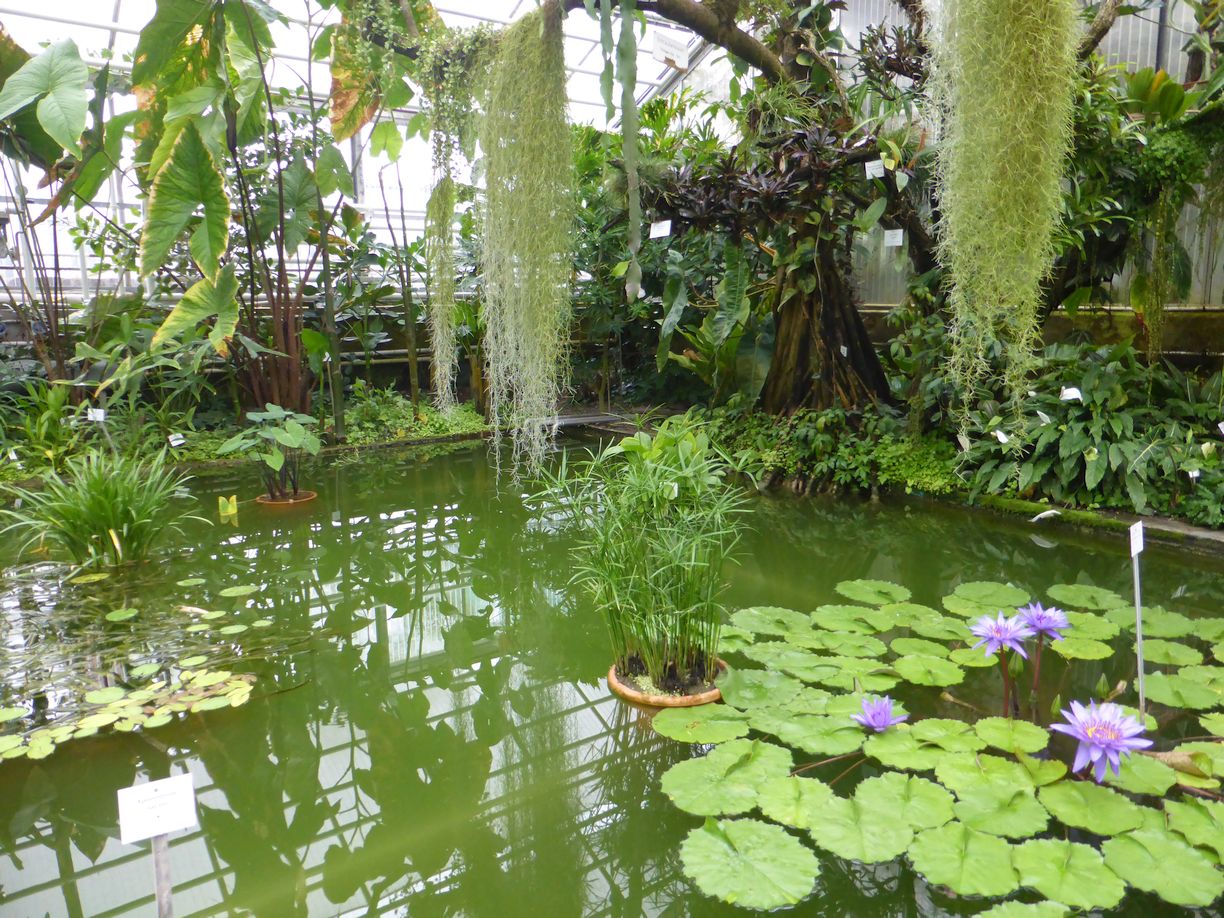 Jena_Botanischer_Garten_2025