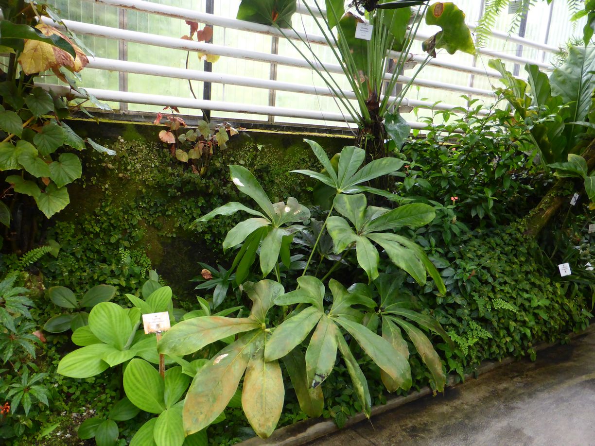 Jena_Botanischer_Garten_2025