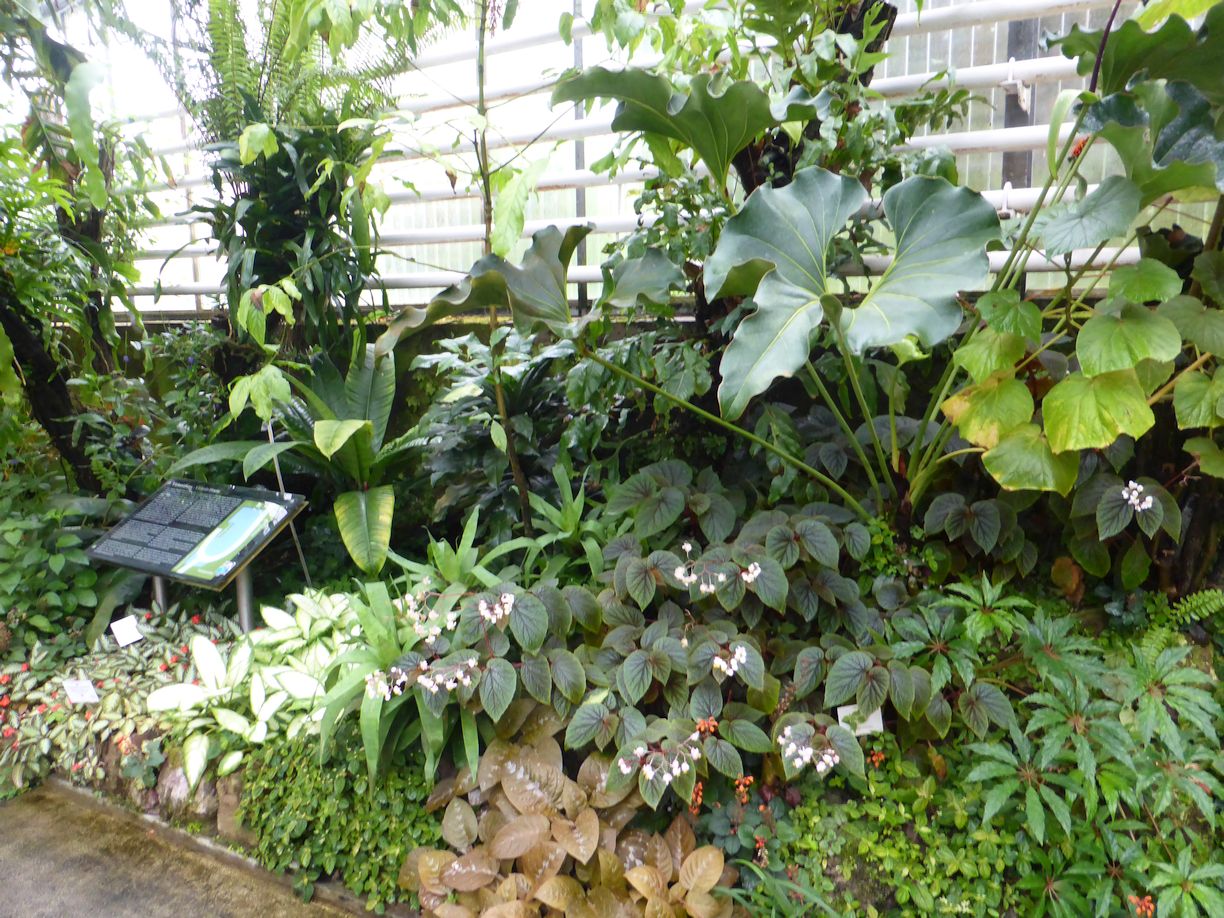 Jena_Botanischer_Garten_2025