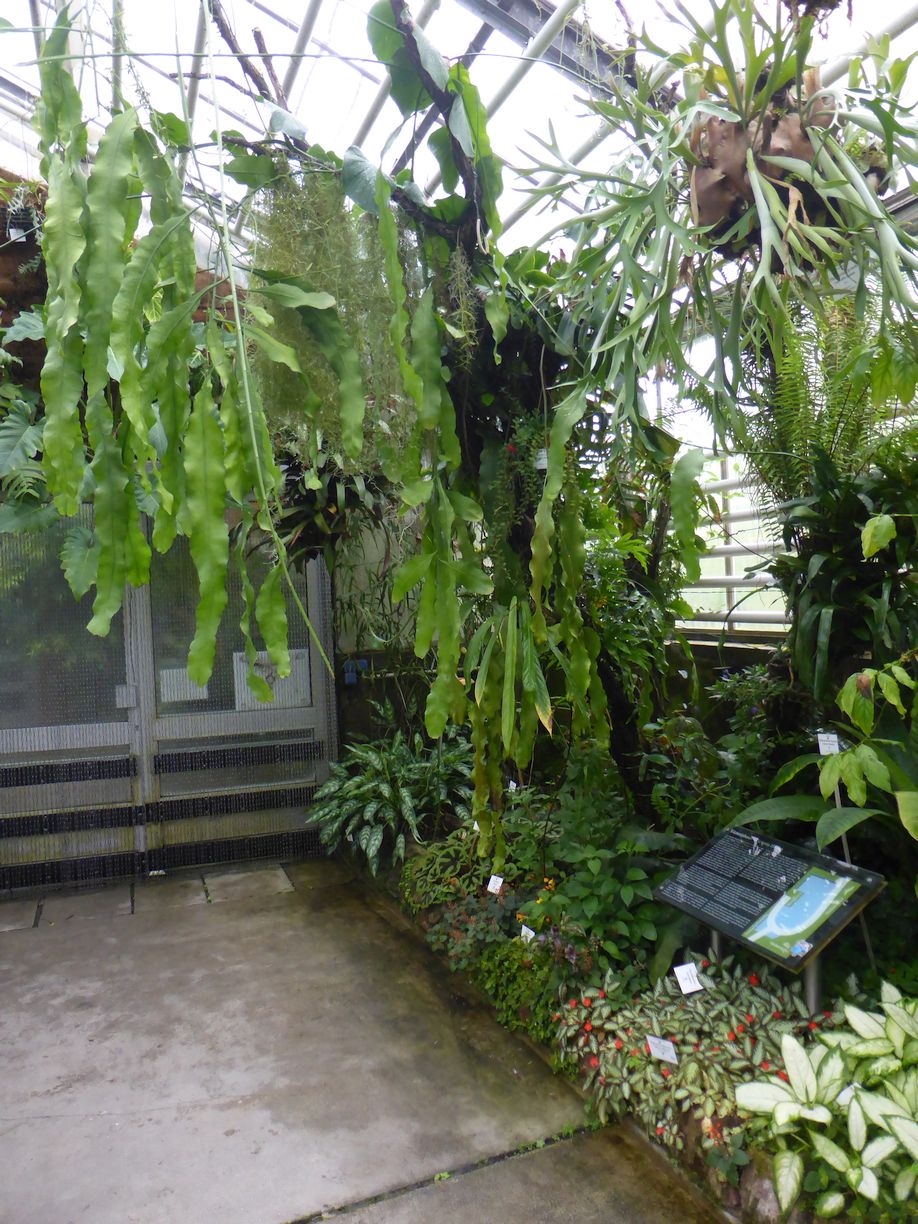 Jena_Botanischer_Garten_2025