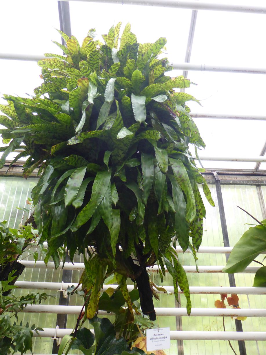 Jena_Botanischer_Garten_2025