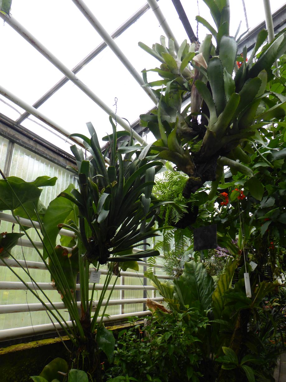 Jena_Botanischer_Garten_2025