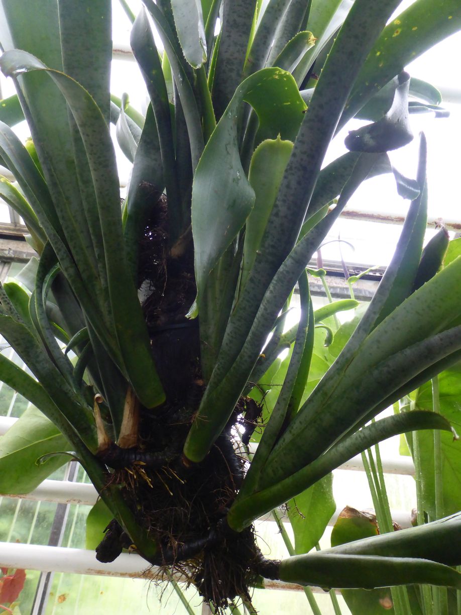 Jena_Botanischer_Garten_2025