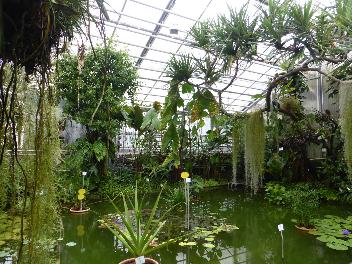 Jena_Botanischer_Garten_2025