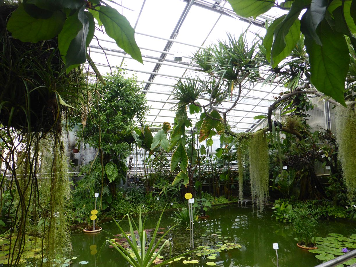 Jena_Botanischer_Garten_2025