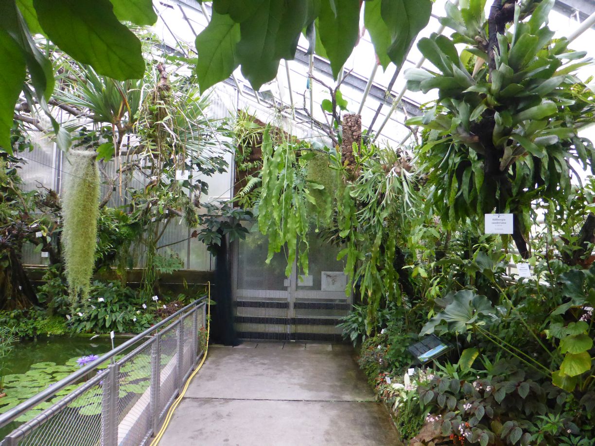 Jena_Botanischer_Garten_2025