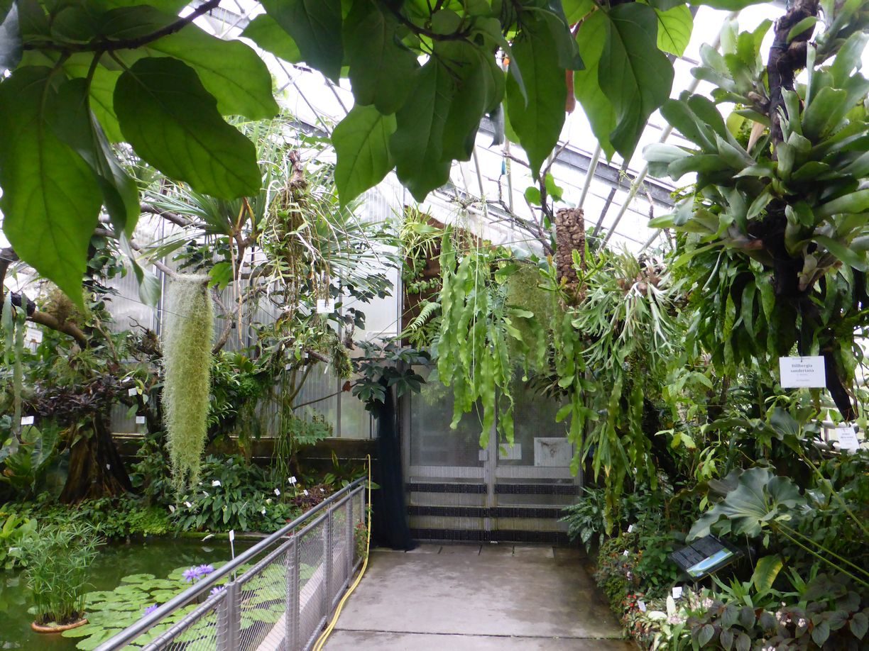 Jena_Botanischer_Garten_2025