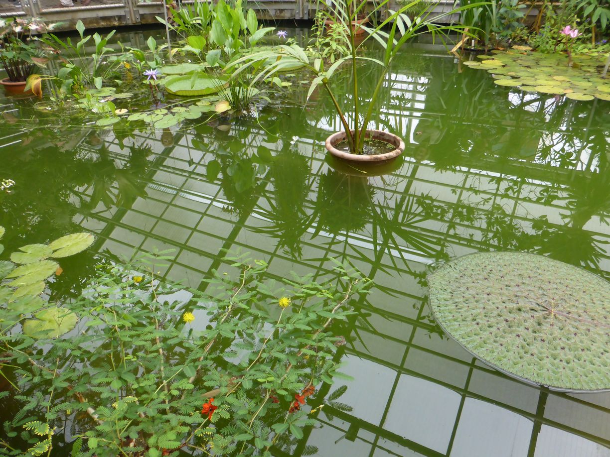 Jena_Botanischer_Garten_2025