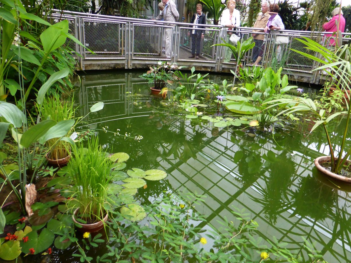 Jena_Botanischer_Garten_2025