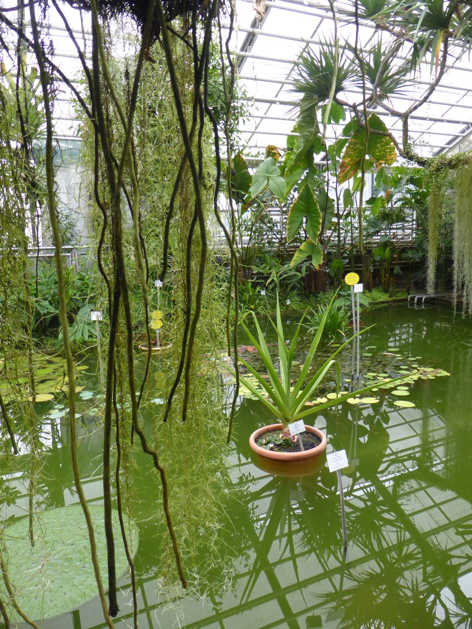 Jena_Botanischer_Garten_2025