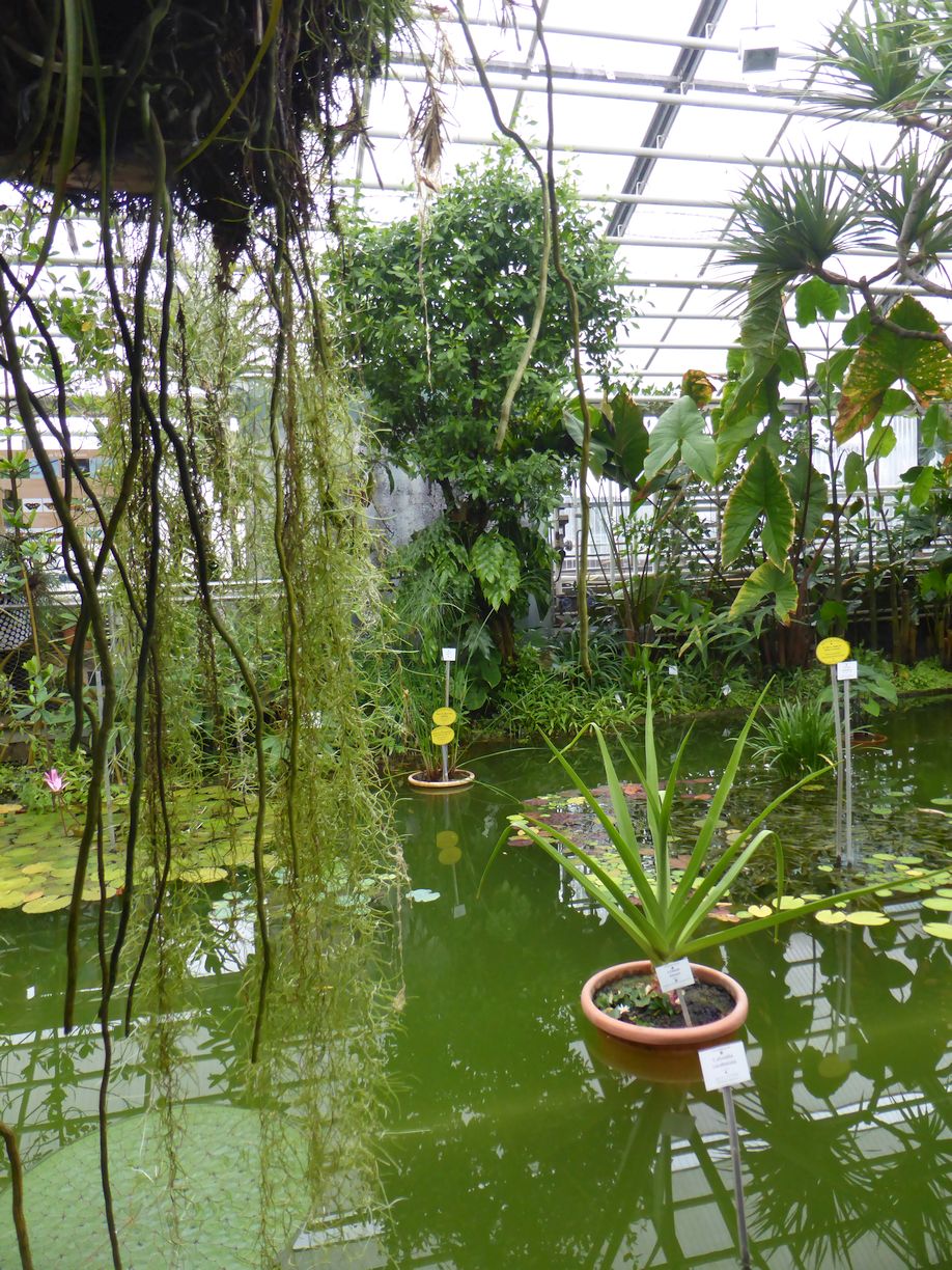 Jena_Botanischer_Garten_2025