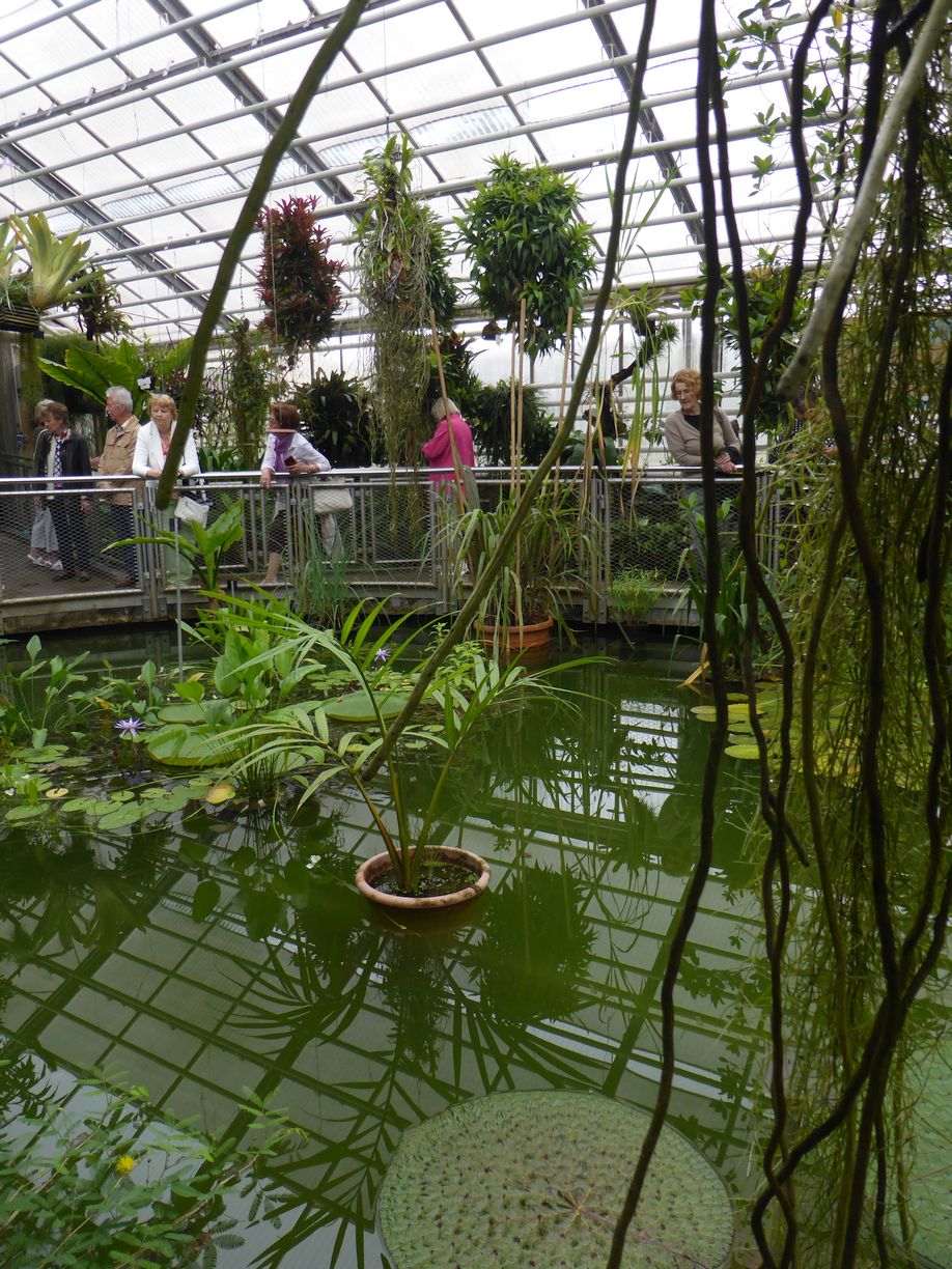 Jena_Botanischer_Garten_2025