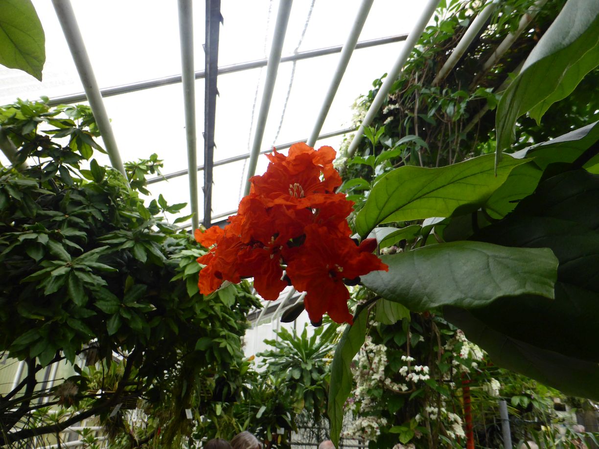 Jena_Botanischer_Garten_2025