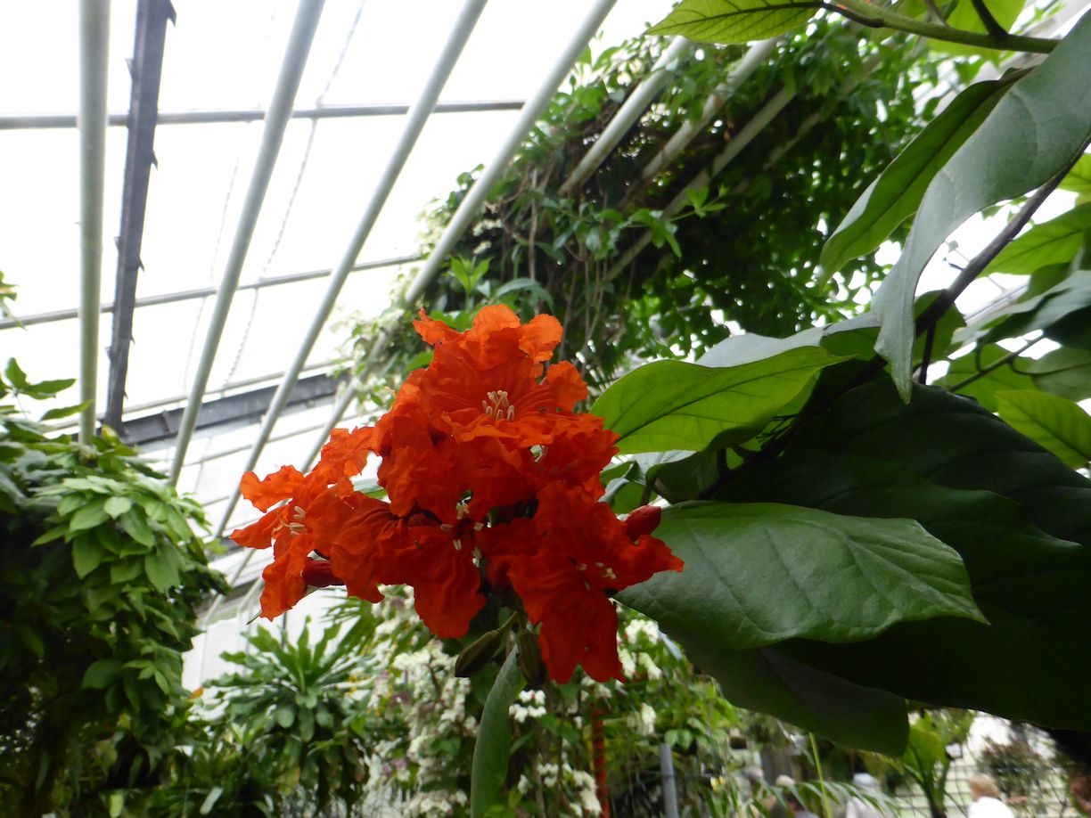 Jena_Botanischer_Garten_2025