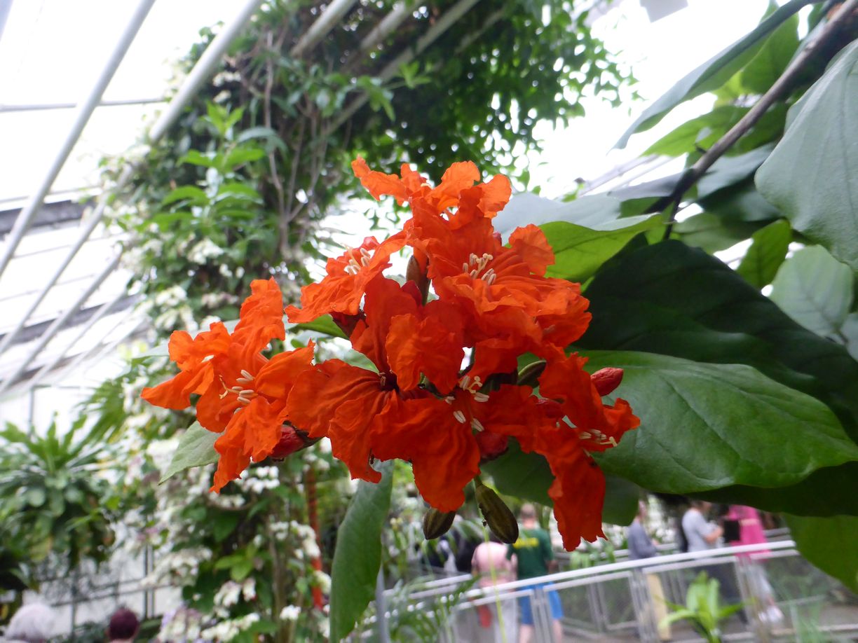 Jena_Botanischer_Garten_2025