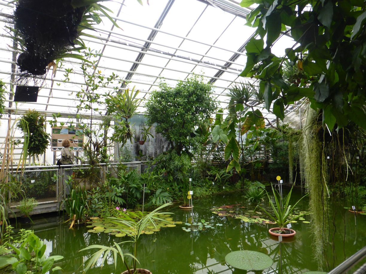 Jena_Botanischer_Garten_2025