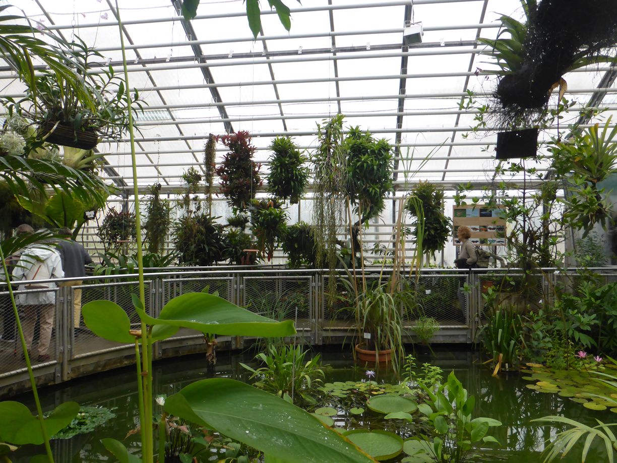 Jena_Botanischer_Garten_2025