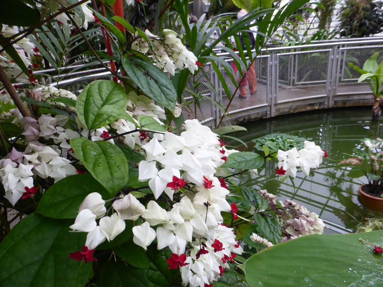 Jena_Botanischer_Garten_2025