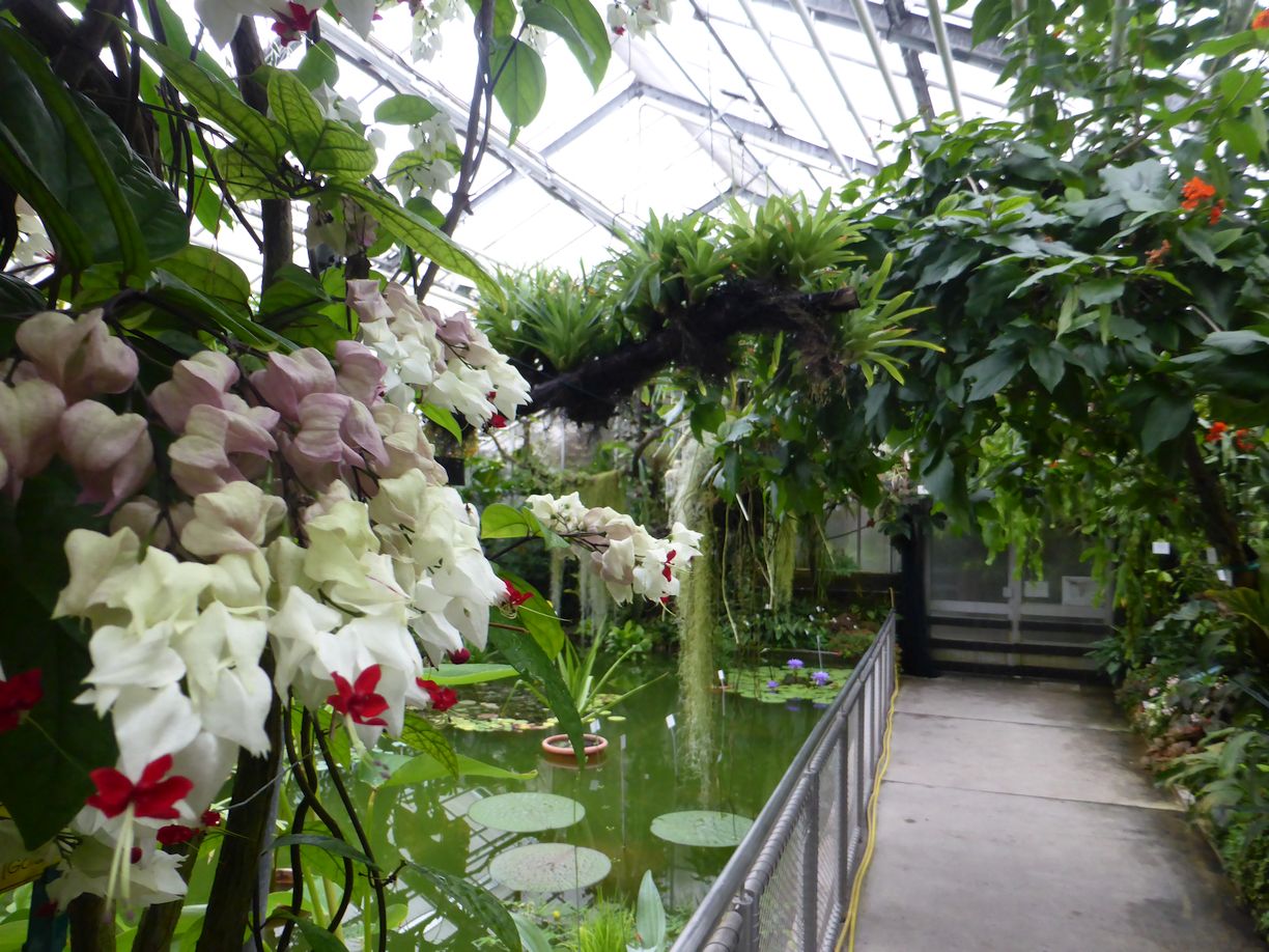 Jena_Botanischer_Garten_2025