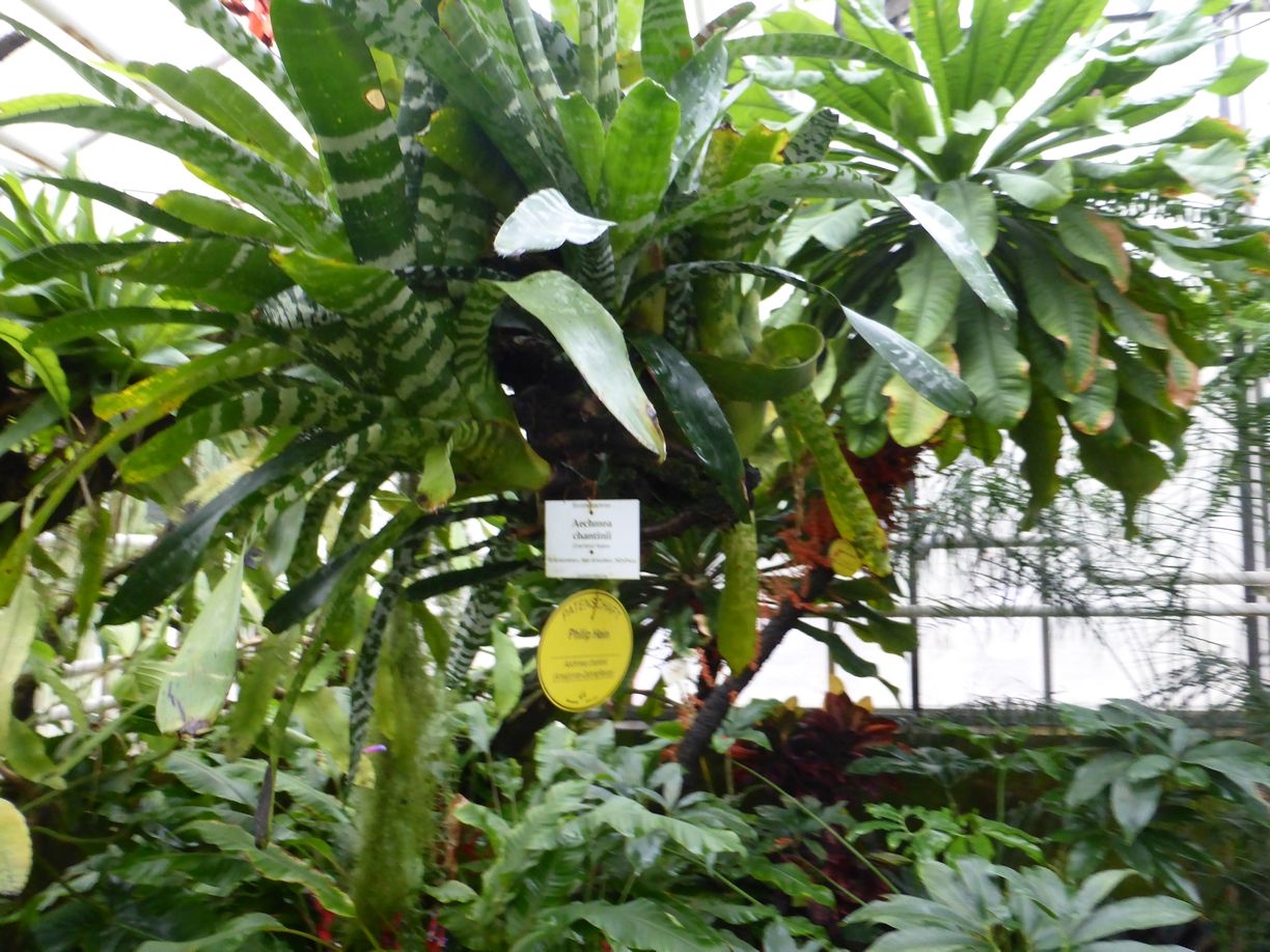 Jena_Botanischer_Garten_2025