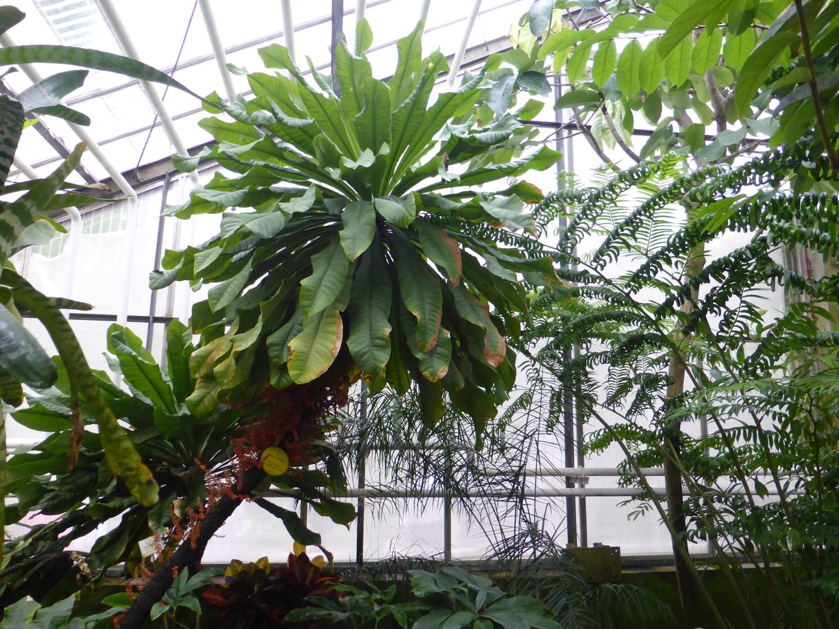 Jena_Botanischer_Garten_2025