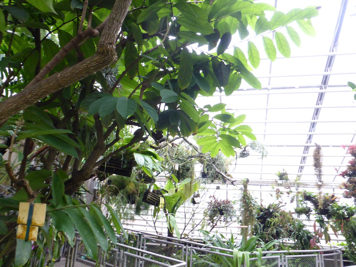 Jena_Botanischer_Garten_2025