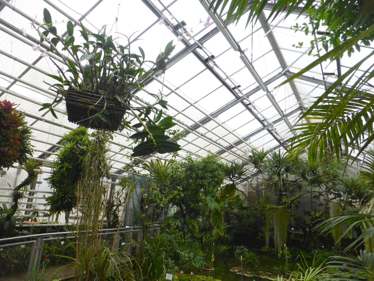 Jena_Botanischer_Garten_2025