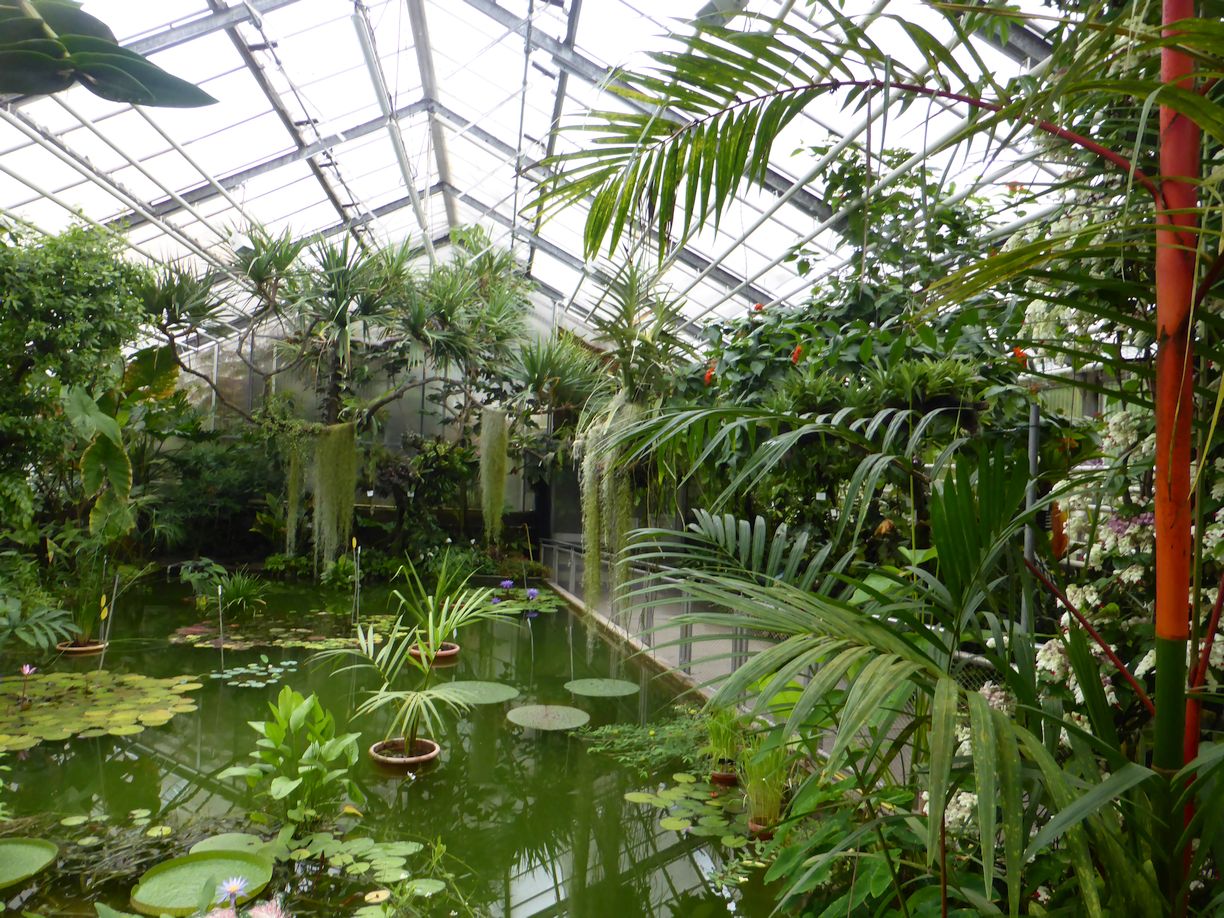 Jena_Botanischer_Garten_2025