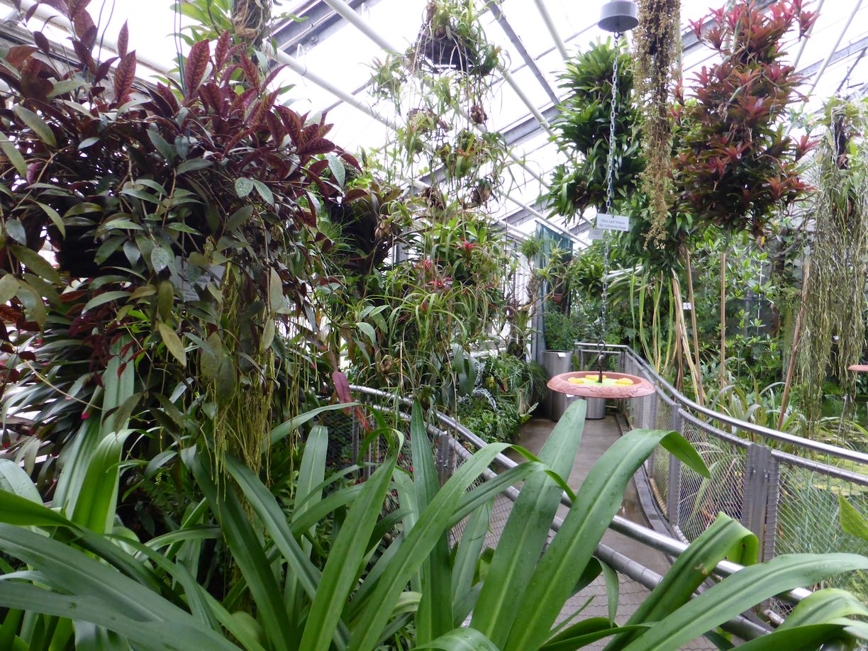 Jena_Botanischer_Garten_2025