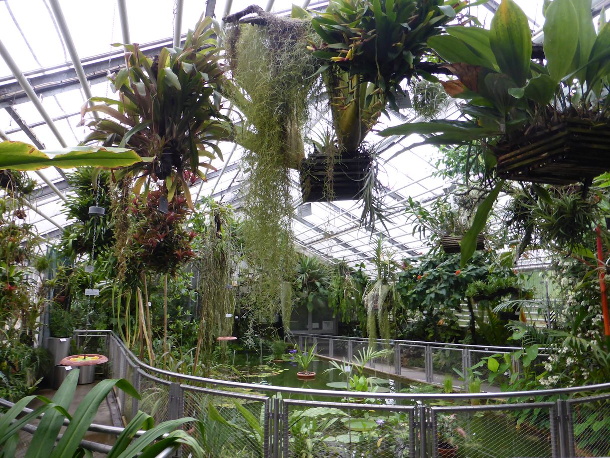 Jena_Botanischer_Garten_2025