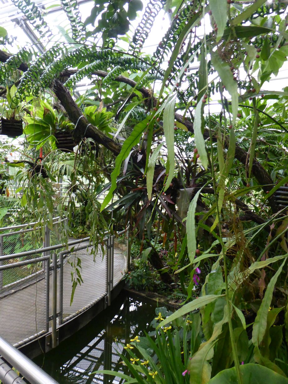 Jena_Botanischer_Garten_2025