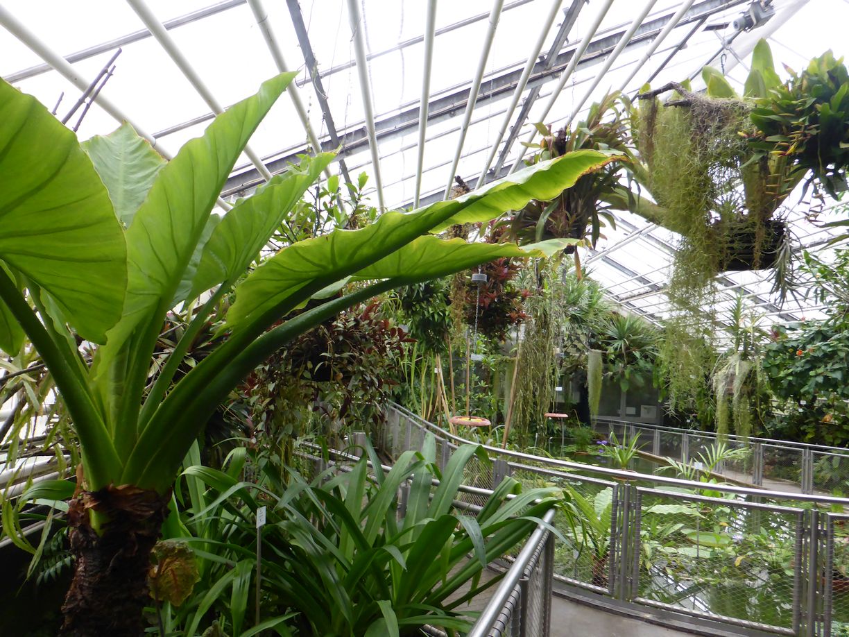 Jena_Botanischer_Garten_2025