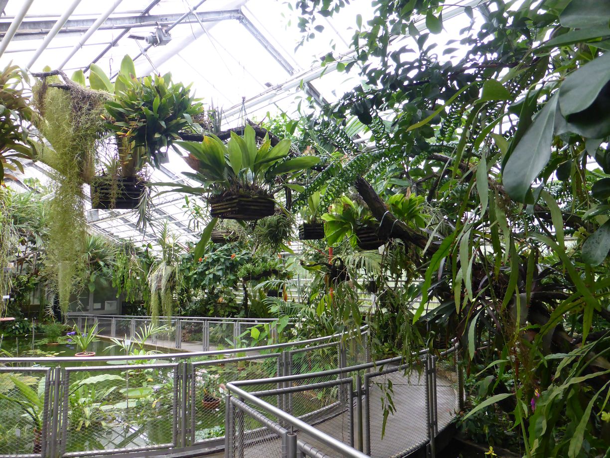 Jena_Botanischer_Garten_2025