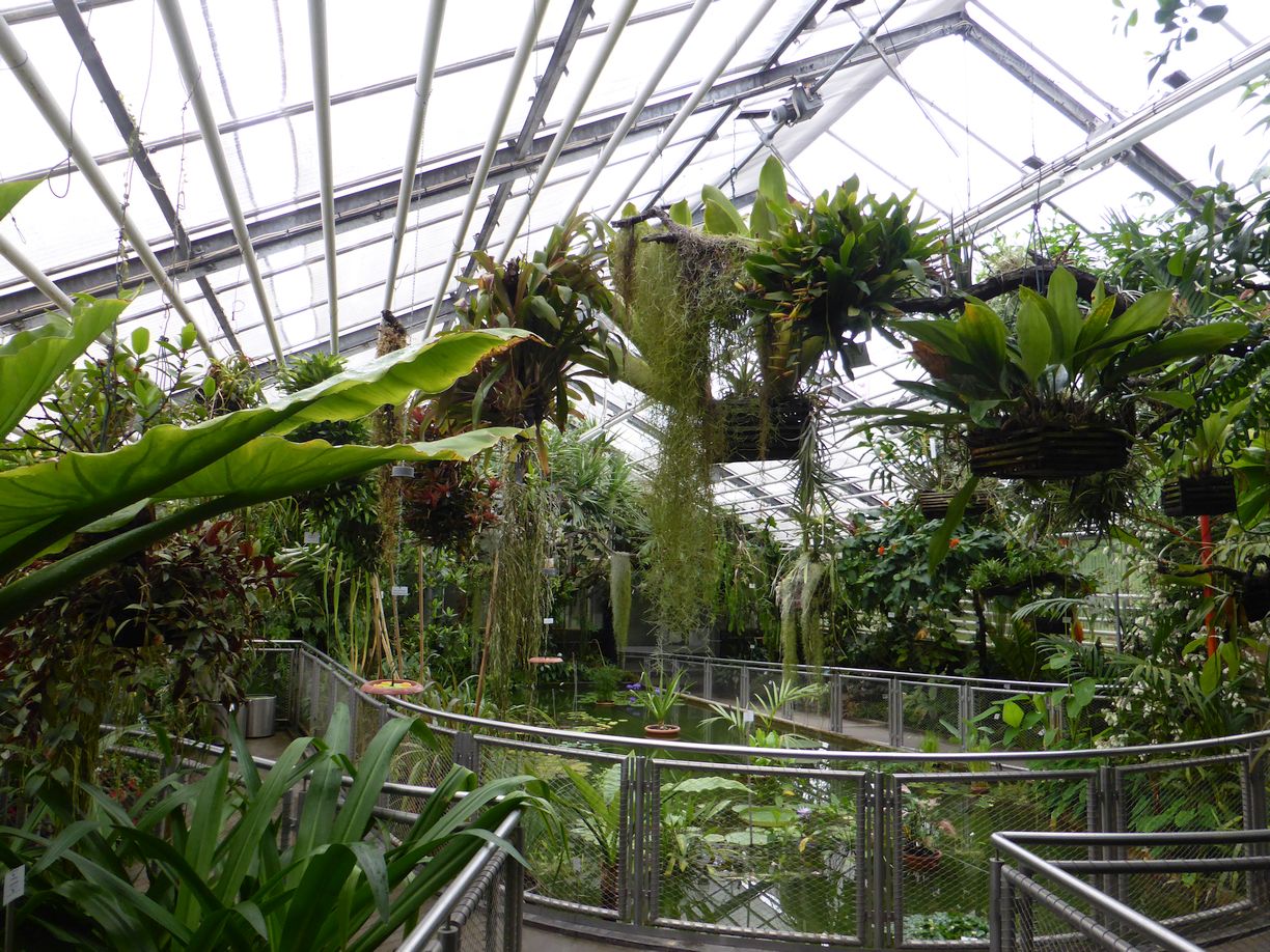 Jena_Botanischer_Garten_2025