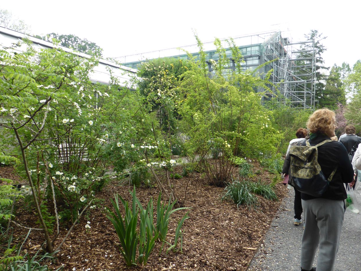 Jena_Botanischer_Garten_2025