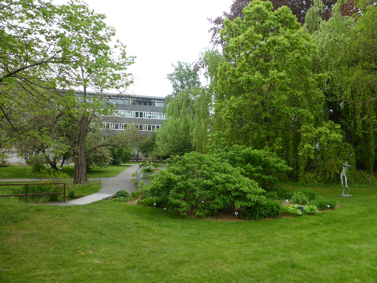 Jena_Botanischer_Garten_2025