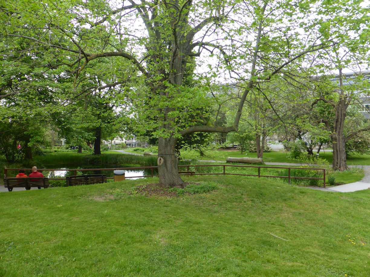 Jena_Botanischer_Garten_2025