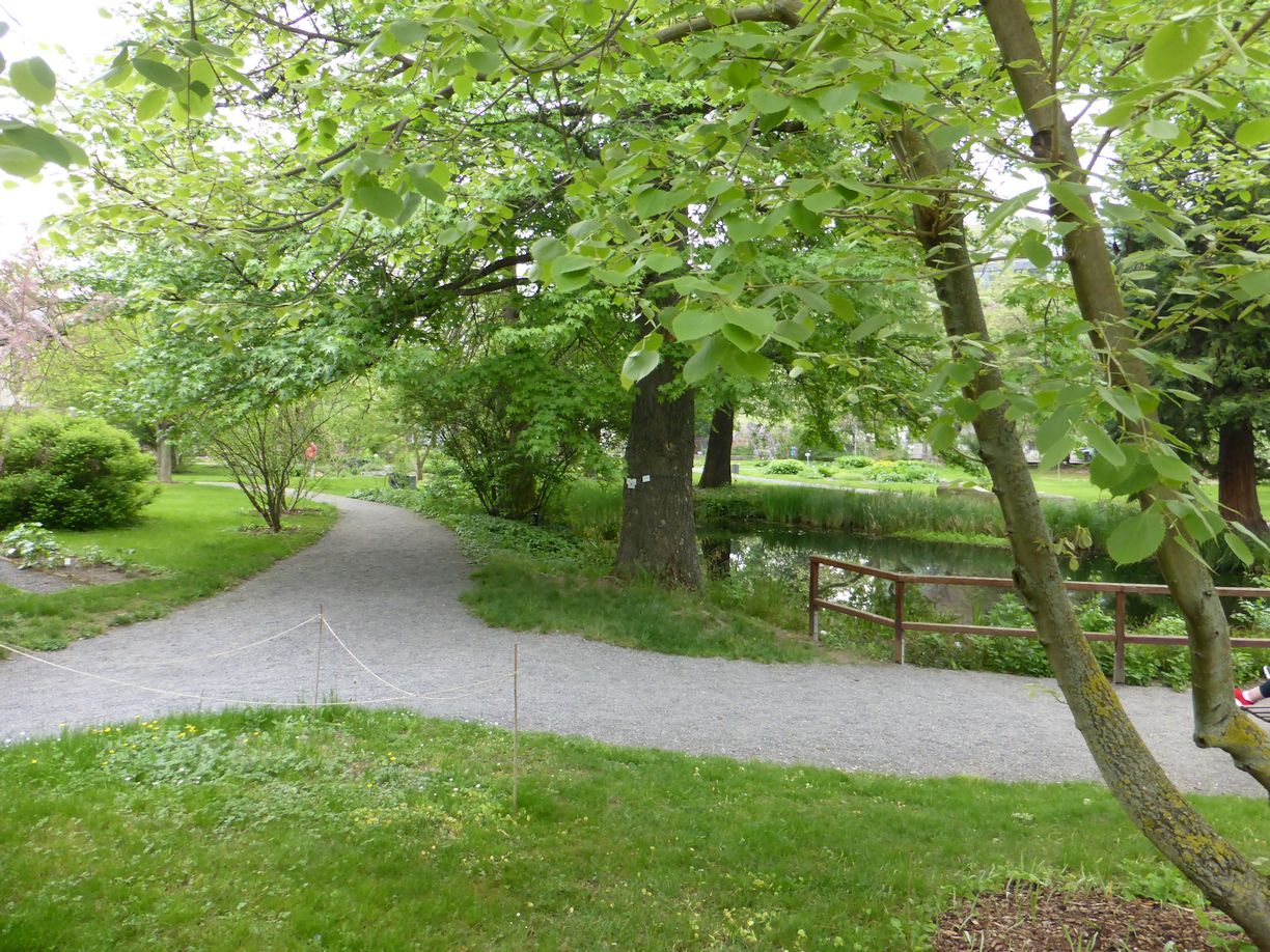 Jena_Botanischer_Garten_2025