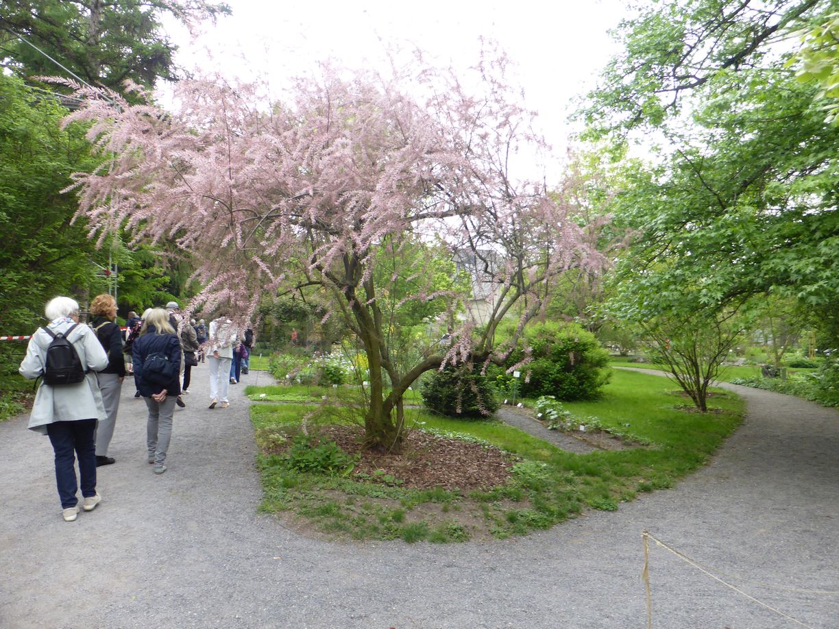 Jena_Botanischer_Garten_2025
