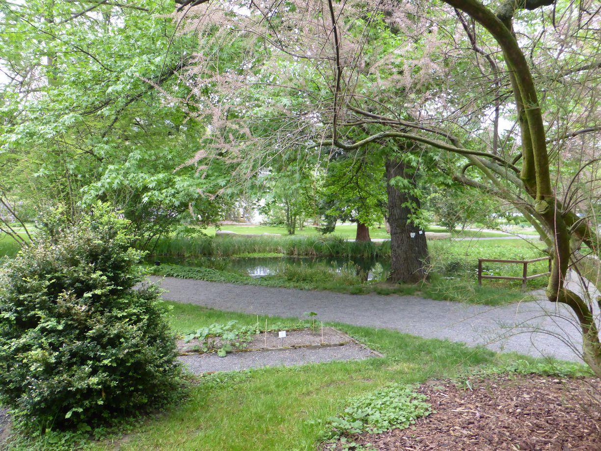 Jena_Botanischer_Garten_2025