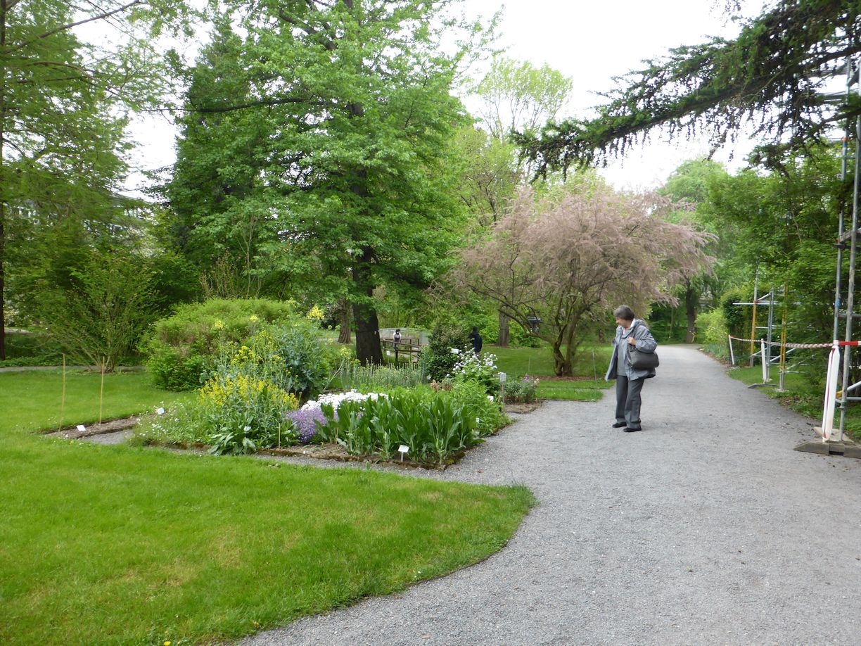 Jena_Botanischer_Garten_2025