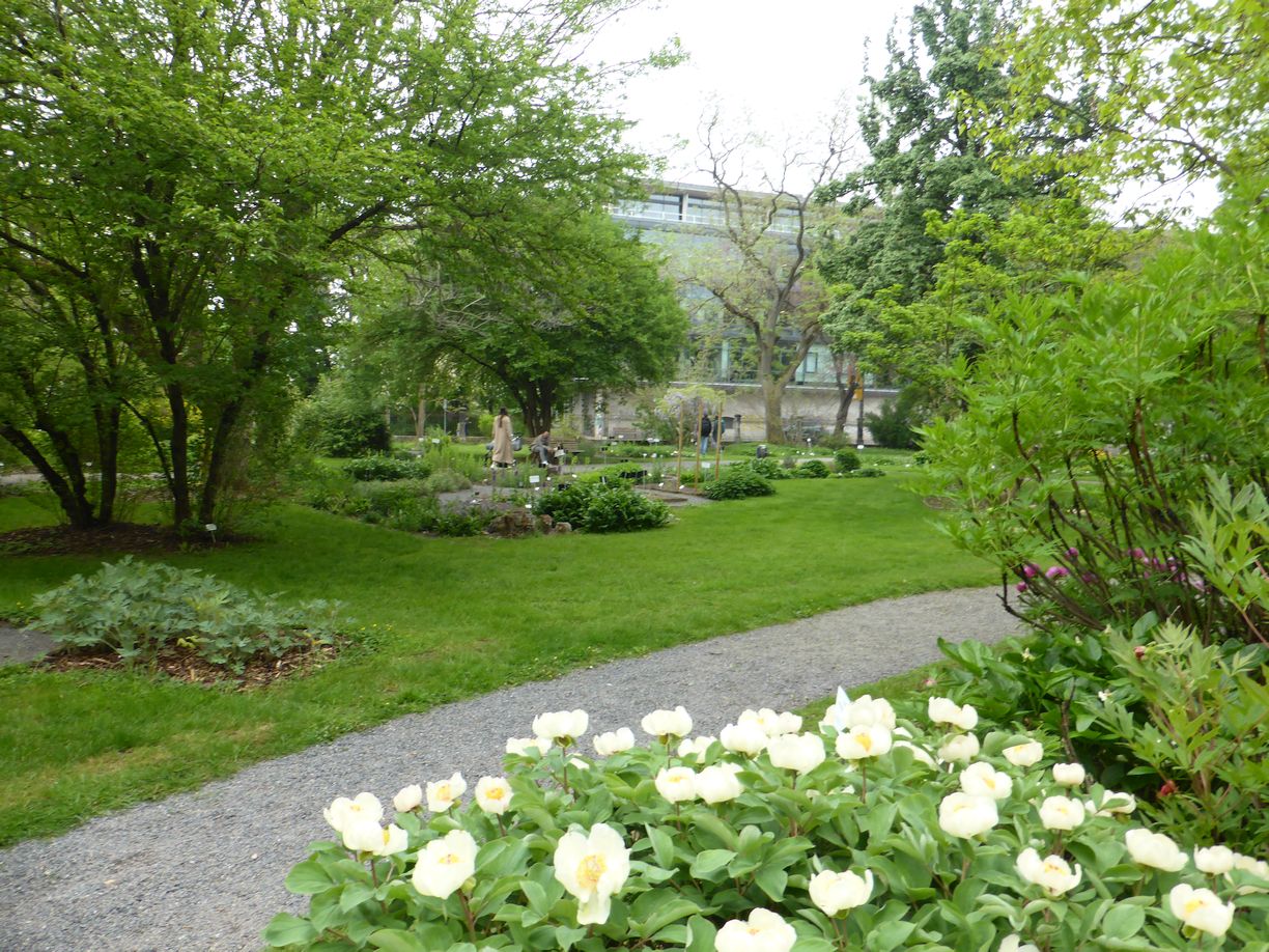 Jena_Botanischer_Garten_2025