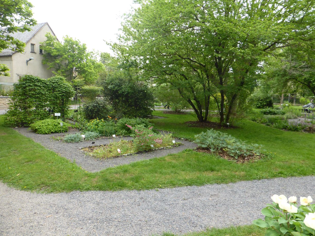 Jena_Botanischer_Garten_2025