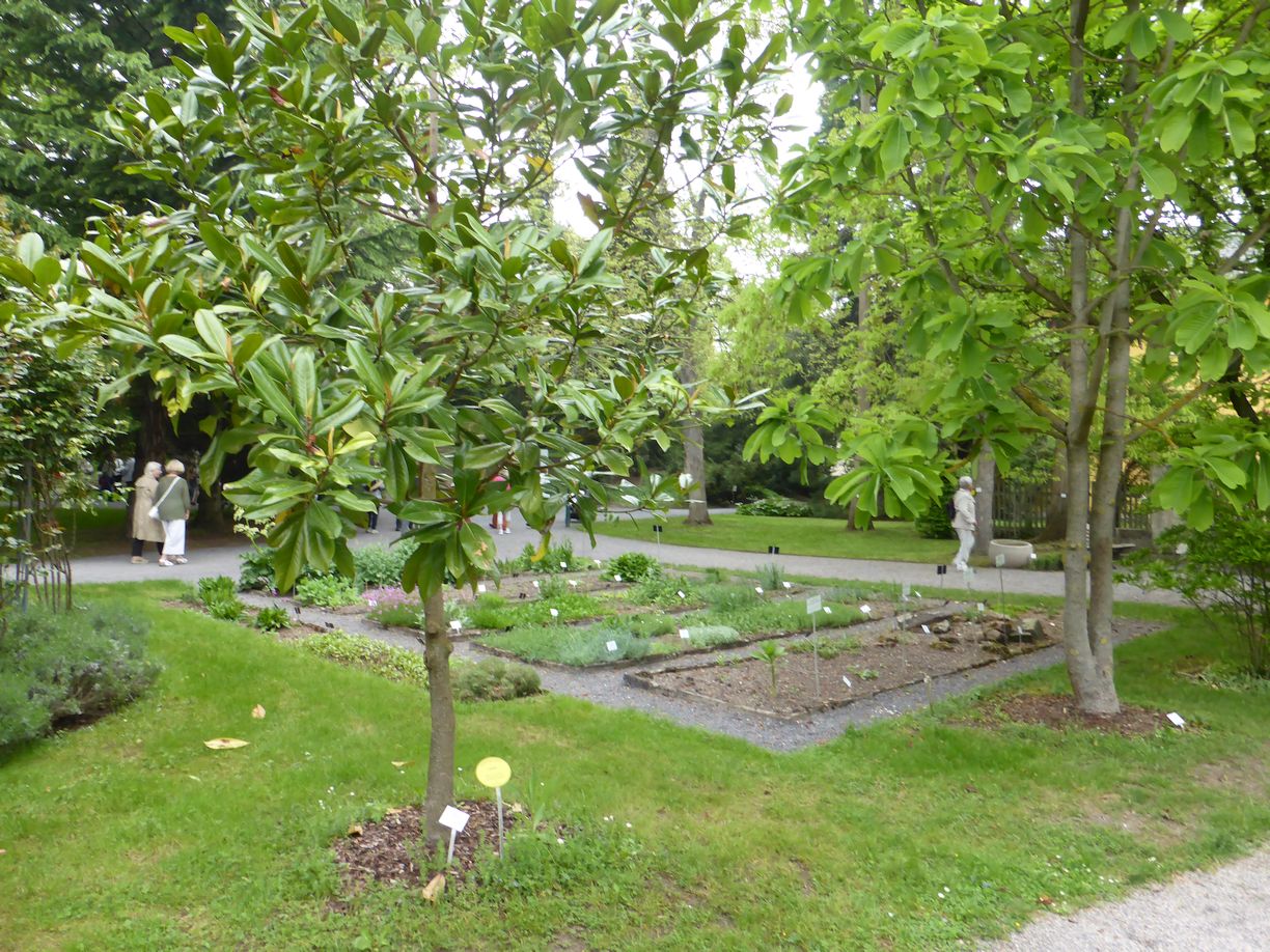 Jena_Botanischer_Garten_2025