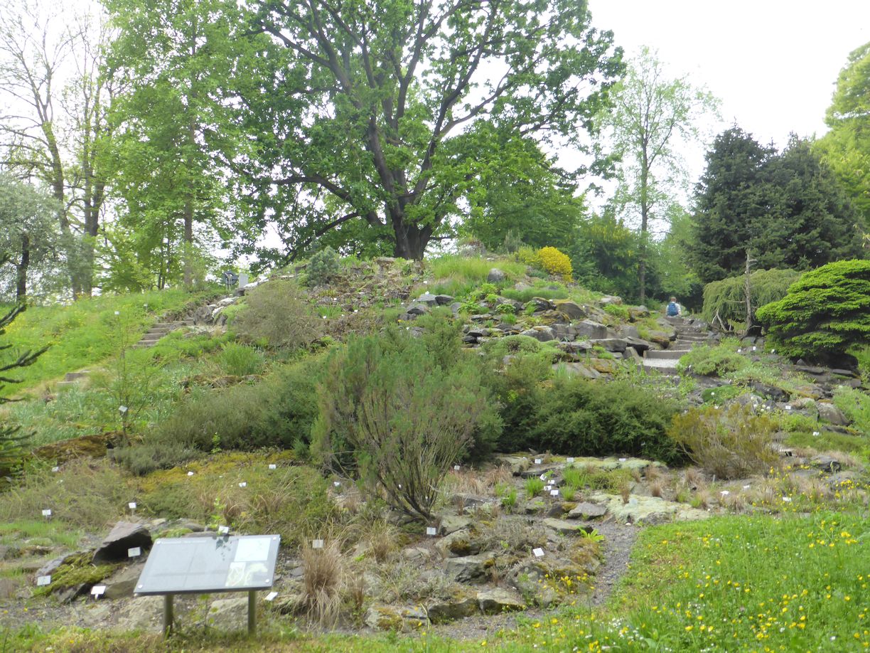 Jena_Botanischer_Garten_2025